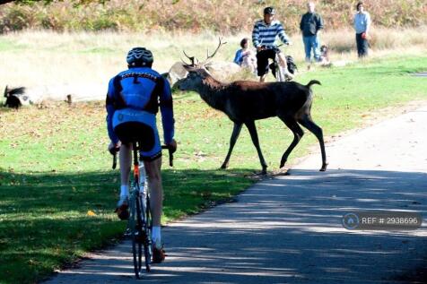 Cycling