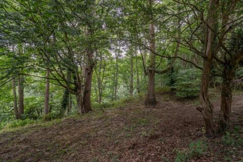 Property Image 36