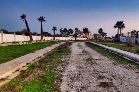 Garden &amp; Patio Area