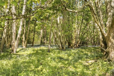 Woodland