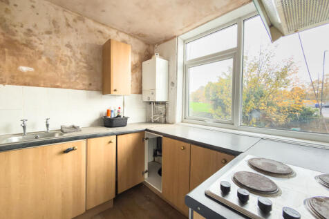 IMG 7132 T202511051328.jpg