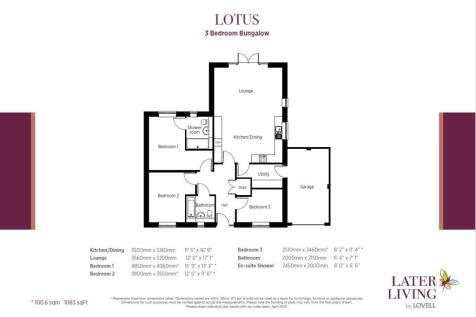 THE LOTUS 2.JPG