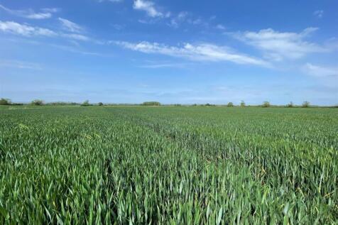 Land for sale Image 7