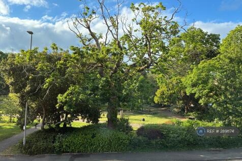 The Park Opposite 