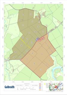 Boundary Map