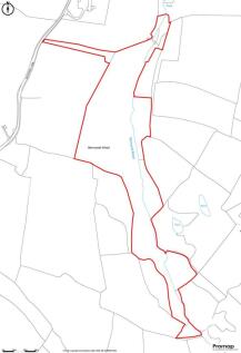 Woodland at Blackwall, Kirk Ireton.jpg