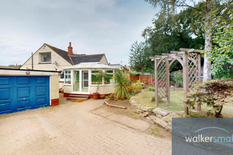 4-Sandy-Walk-08132025_175443