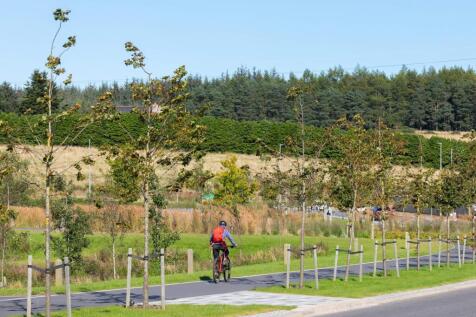 Local-Area cyclist surrounded by open green space and forest