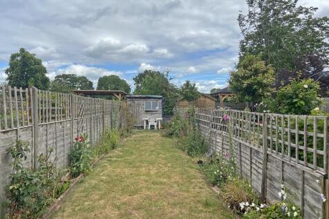 garden.jpg