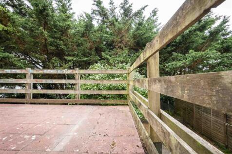 Pav P Shoot 1 -0644.jpg