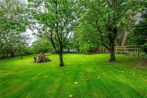 Orchard