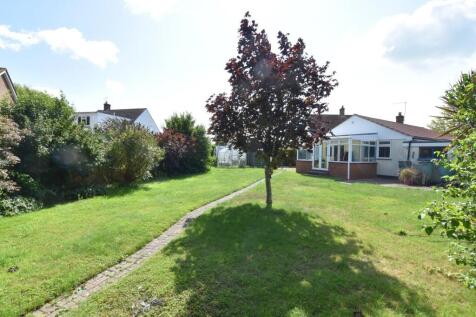 3 Chestnut Blue Sky (7).JPG