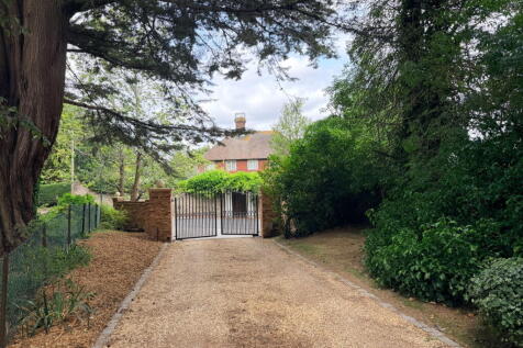 Property Image 54