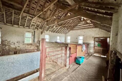 PHOTO-2025-09-19-15-49-41 (12).jpg