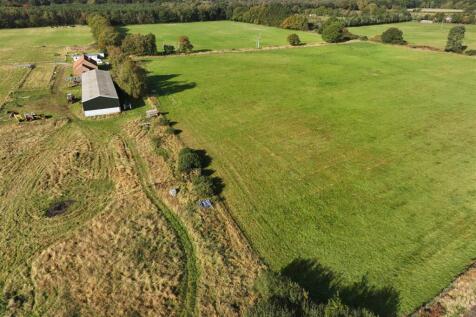 Pine Meadows Walesby 101024 (25).JPG