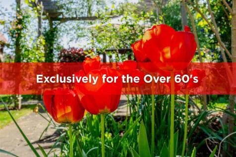 Exclusively for the Over 60's.jpg