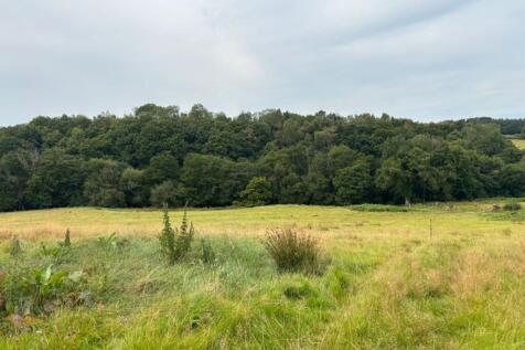 The Land