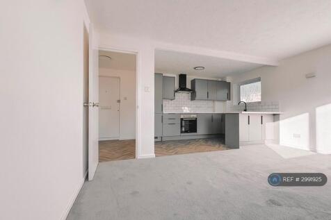 Kitchen / Living Room 