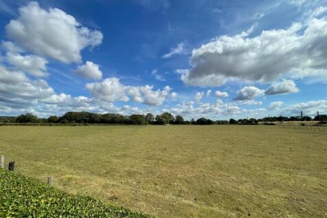 IMG-20250709-WA0005 - Copy.jpg