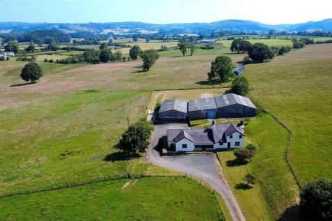 DJI_0364_enhanced.jpg