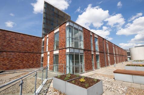 Communal Roof Terrace