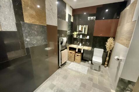 Annexe Shower Room