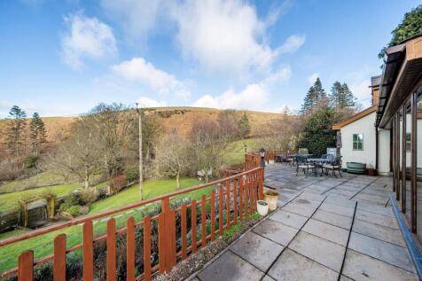 View from sunroom.jpg