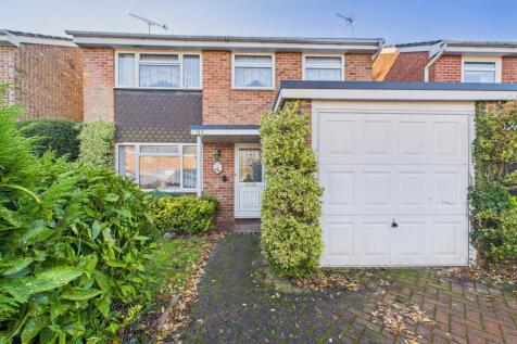 CAM02136G0-PR0494-STILL024