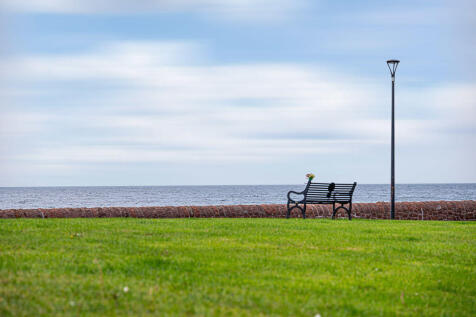 Foreshore