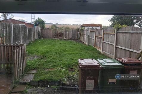 Back Garden