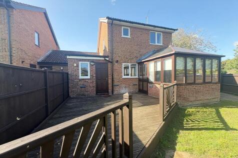 back garden.jpg