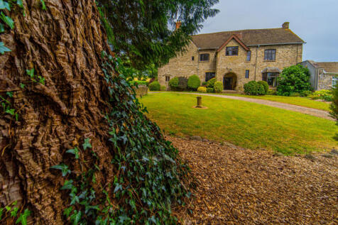 Property Image 42