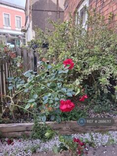 Front Garden Area