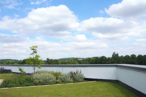 Rooftop Garden
