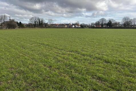 Photo 14-03-2025, 9 26 55 AM.jpg