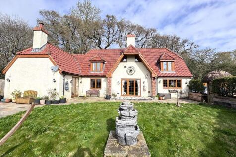 Rear of Property 