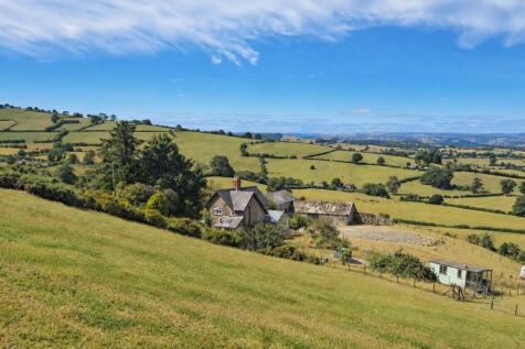 Cefn  in landscape_16bfced3-b7b1-439f-8a59-8a1fbfb