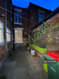 Paved Garden 