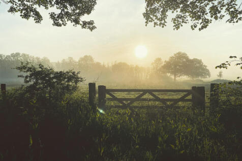 6659808d8854f_892E5AFB-9594-498E-B94E-B3E84704E96