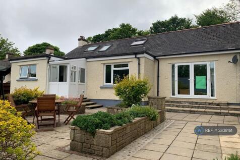 Back Garden