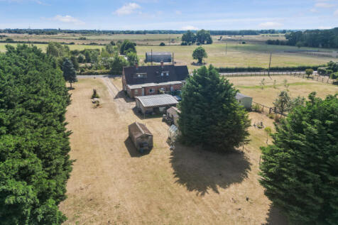 Aerial Rear