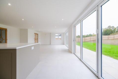 1440px-Elm Tree V...