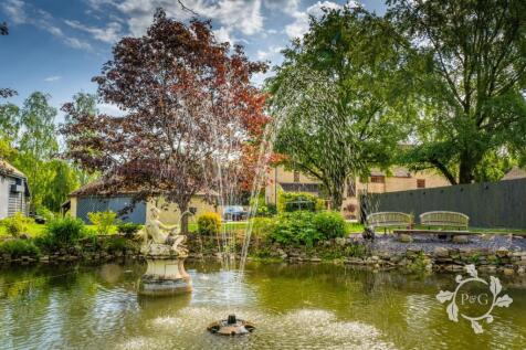 Pond &amp; Fountain