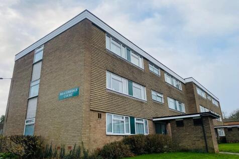 WhatsApp Image 20...