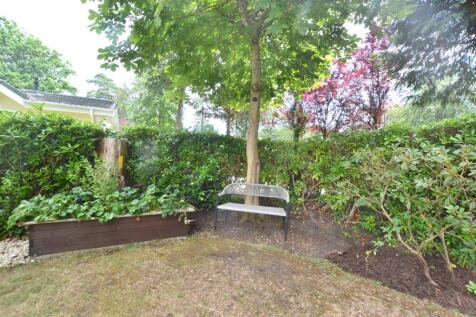 Garden 2.JPG