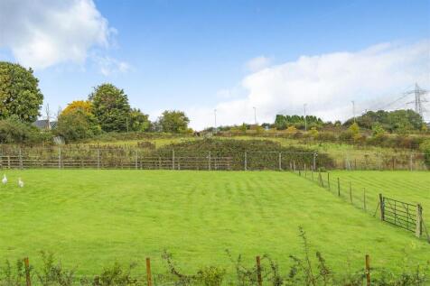 6705e5c3eaf09-1198518 (9).jpg