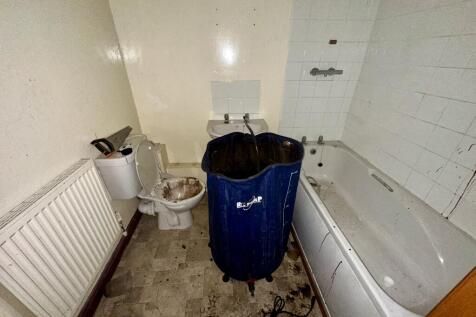 IMG 3943 T202510202156.jpeg