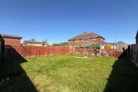 IMG_1462.jpeg