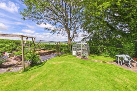 vegetable garden