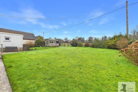 back garden